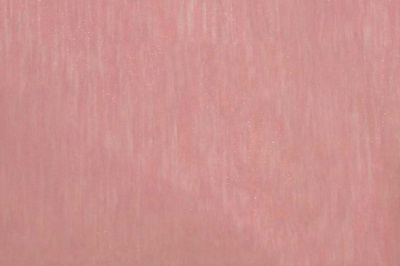 Органза однотонная "Амелия" С19 (Розовый) 280 см - купить в Тюмени. Цена 303.09 руб.