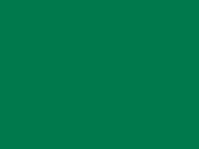 70 см № 258 св. зеленый молнии спираль - купить в Тюмени. Цена: 14.58 руб.