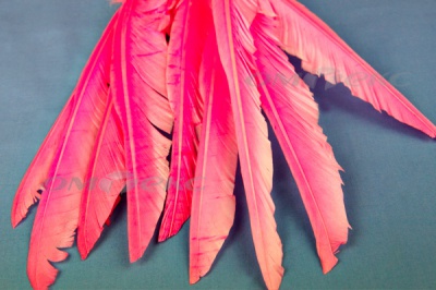 Декоративный Пучок из перьев, перо 25см/розовый - купить в Тюмени. Цена: 14.40 руб.