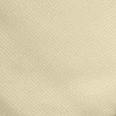 Ткань подкладочная Таффета 14-1014, антист., 53 гр/м2, шир.150см, цвет бежевый - купить в Тюмени. Цена 62.37 руб.