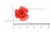 Украшение "Розы малые №1" 20мм - купить в Тюмени. Цена: 32.49 руб.