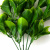 Трава искусственная -1, шт (эвкалипт лист 32 см/8 см)				 - купить в Тюмени. Цена: 169.93 руб.