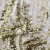 Трикотажное полотно, Сетка с пайетками, шир.130 см, #315, цв.-белый/золото - купить в Тюмени. Цена 693.39 руб.