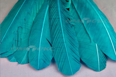 Декоративный Пучок из перьев, перо 24см/голубой - купить в Тюмени. Цена: 12.19 руб.