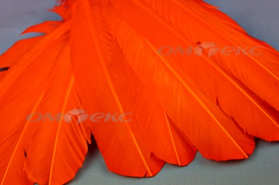 Декоративный Пучок из перьев, перо 24см/оранжевый - купить в Тюмени. Цена: 12.19 руб.