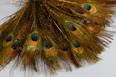 Декоративное перо, малое/павлин - купить в Тюмени. Цена: 19.51 руб.