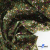Ткань костюмная «Микровельвет велюровый принт», 220 г/м2, 97% полиэстр, 3% спандекс, ш. 150См Цв  #9 - купить в Тюмени. Цена 439.76 руб.