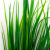 Трава искусственная -2, шт (осока 41см/8 см)				 - купить в Тюмени. Цена: 104.57 руб.