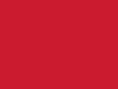 Сетка подкладочная красный, 60г/м2 (10 м/кг) - купить в Тюмени. Цена 894.77 руб.