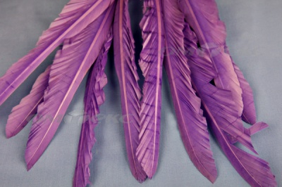 Декоративный Пучок из перьев, перо 25см/фиолетовый - купить в Тюмени. Цена: 12.19 руб.
