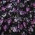 Плательная ткань "Фламенко" 20.1, 80 гр/м2, шир.150 см, принт растительный - купить в Тюмени. Цена 241.49 руб.