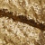 Сетка с пайетками №3, 188 гр/м2, шир.140см, цвет золотой - купить в Тюмени. Цена 458.76 руб.