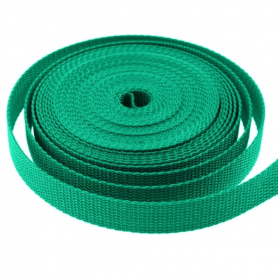 Стропа текстильная, шир. 25 мм (в нам. 50+/-1 ярд), цвет яр.зелёный - купить в Тюмени. Цена: 397.52 руб.