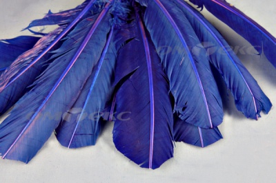 Декоративный Пучок из перьев, перо 23см/синий - купить в Тюмени. Цена: 12.34 руб.
