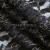 Кружевное полотно XD LACE 1-4, 80 гр/м2, шир.150см, цвет чёрный - купить в Тюмени. Цена 245.94 руб.